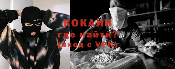 хмурый Арсеньев