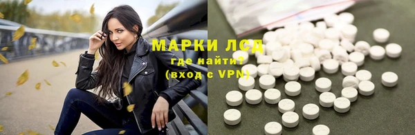 трава Аркадак