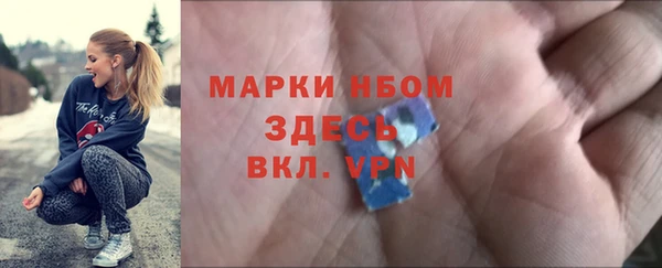 хмурый Арсеньев