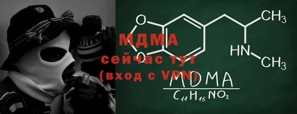 хмурый Арсеньев