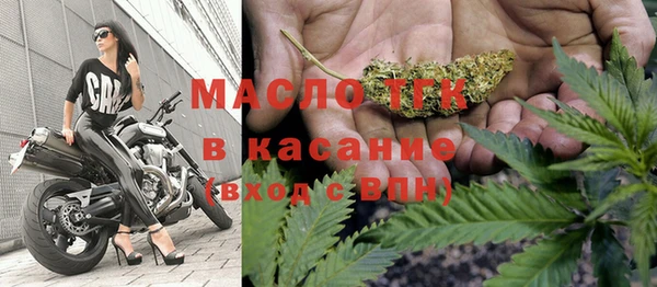 хмурый Арсеньев