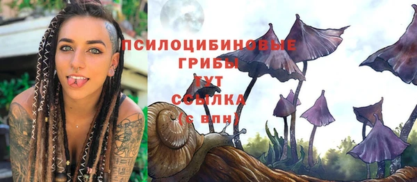 ECSTASY Армянск