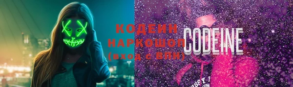 хмурый Арсеньев