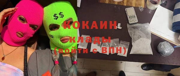 хмурый Арсеньев